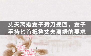 丈夫离婚妻子持刀挽回，妻子手持匕首抵挡丈夫离婚的要求