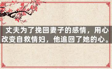 丈夫为了挽回妻子的感情，用心改变自救情妇，他追回了她的心。