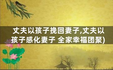 丈夫以孩子挽回妻子,丈夫以孩子感化妻子 全家幸福团聚)