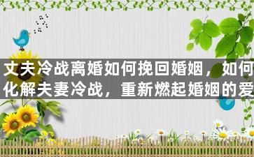 丈夫冷战离婚如何挽回婚姻，如何化解夫妻冷战，重新燃起婚姻的爱情？