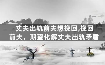 丈夫出轨前夫想挽回,挽回前夫，期望化解丈夫出轨矛盾