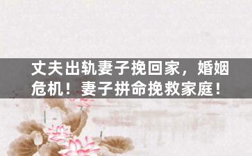 丈夫出轨妻子挽回家，婚姻危机！妻子拼命挽救家庭！