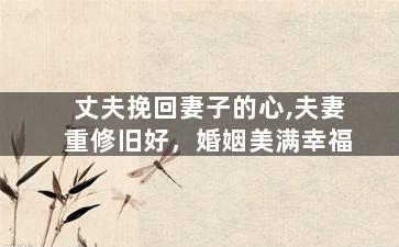 丈夫挽回妻子的心,夫妻重修旧好，婚姻美满幸福
