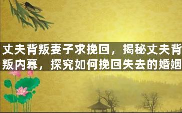 丈夫背叛妻子求挽回，揭秘丈夫背叛内幕，探究如何挽回失去的婚姻