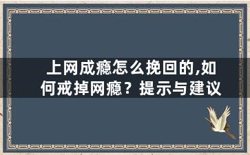 上网成瘾怎么挽回的,如何戒掉网瘾？提示与建议