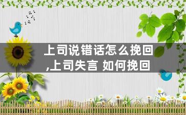 上司说错话怎么挽回,上司失言 如何挽回