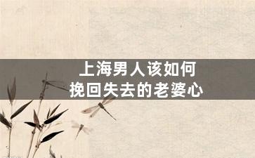 上海男人该如何挽回失去的老婆心（上海男人该如何挽回失去的老婆心情）