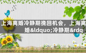 上海离婚冷静期挽回机会，上海离婚“冷静期”为你挽回婚姻带来机会