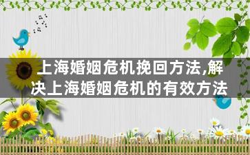 上海婚姻危机挽回方法,解决上海婚姻危机的有效方法