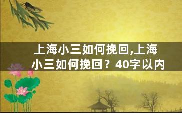 上海小三如何挽回,上海小三如何挽回？40字以内