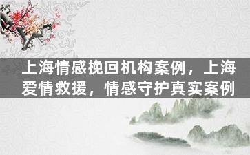 上海情感挽回机构案例，上海爱情救援，情感守护真实案例