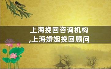 上海挽回咨询机构,上海婚姻挽回顾问