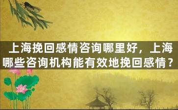 上海挽回感情咨询哪里好，上海哪些咨询机构能有效地挽回感情？