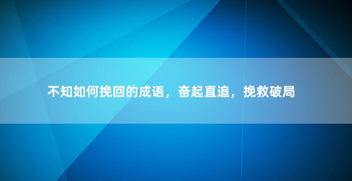 不知如何挽回的成语，奋起直追，挽救破局