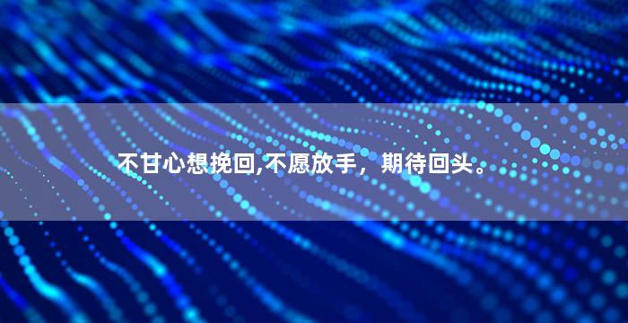 不甘心想挽回,不愿放手，期待回头。