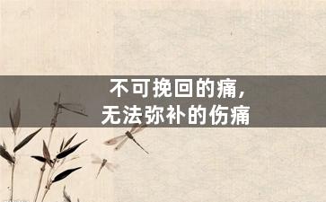 不可挽回的痛,无法弥补的伤痛