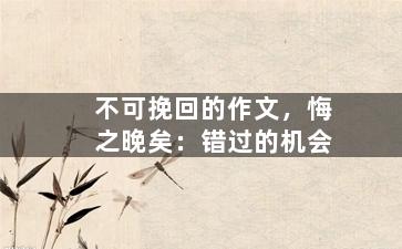 不可挽回的作文，悔之晚矣：错过的机会
