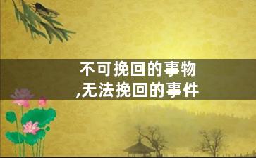 不可挽回的事物,无法挽回的事件