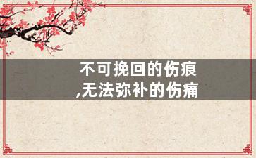 不可挽回的伤痕,无法弥补的伤痛