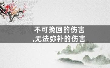 不可挽回的伤害,无法弥补的伤害
