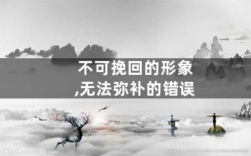 不可挽回的形象,无法弥补的错误