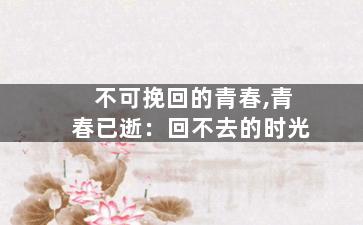 不可挽回的青春,青春已逝：回不去的时光