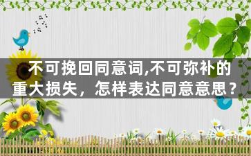 不可挽回同意词,不可弥补的重大损失，怎样表达同意意思？