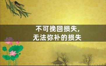 不可挽回损失,无法弥补的损失