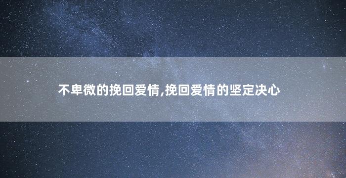 不卑微的挽回爱情,挽回爱情的坚定决心