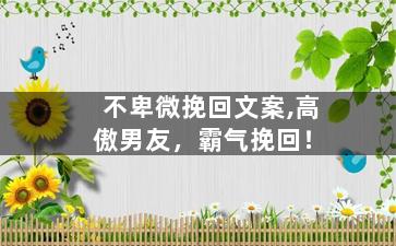不卑微挽回文案,高傲男友，霸气挽回！