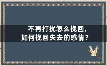 不再打扰怎么挽回,如何挽回失去的感情？
