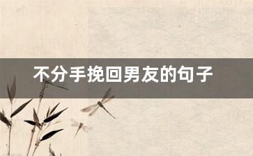 不分手挽回男友的句子