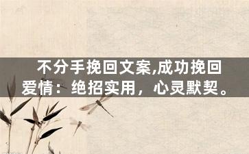 不分手挽回文案,成功挽回爱情：绝招实用，心灵默契。