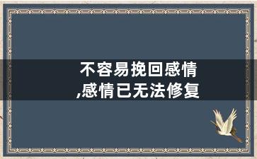 不容易挽回感情,感情已无法修复