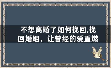 不想离婚了如何挽回,挽回婚姻，让曾经的爱重燃