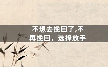 不想去挽回了,不再挽回，选择放手