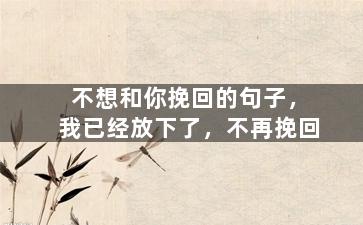 不想和你挽回的句子，我已经放下了，不再挽回