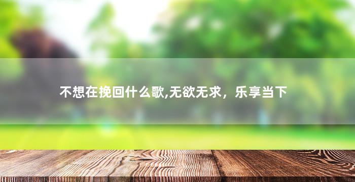 不想在挽回什么歌,无欲无求，乐享当下