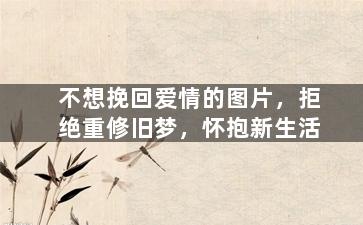 不想挽回爱情的图片，拒绝重修旧梦，怀抱新生活