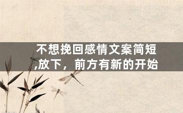 不想挽回感情文案简短,放下，前方有新的开始