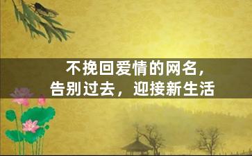 不挽回爱情的网名,告别过去，迎接新生活
