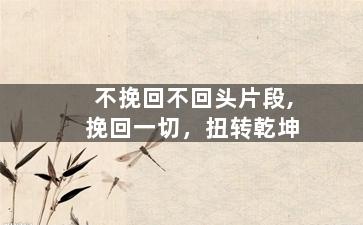 不挽回不回头片段,挽回一切，扭转乾坤