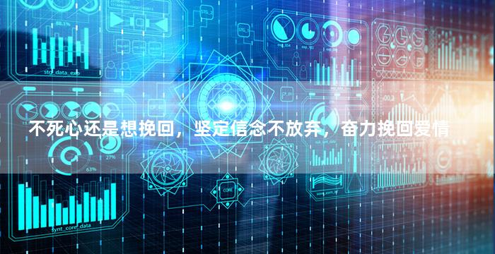 不死心还是想挽回，坚定信念不放弃，奋力挽回爱情