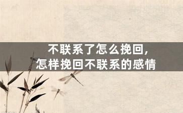 不联系了怎么挽回,怎样挽回不联系的感情