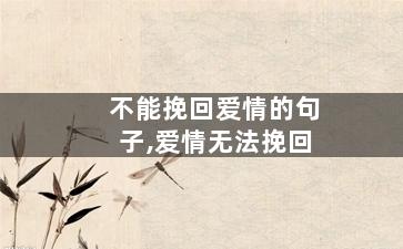 不能挽回爱情的句子,爱情无法挽回
