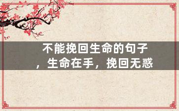 不能挽回生命的句子，生命在手，挽回无惑