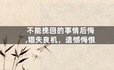 不能挽回的事情后悔,错失良机，遗憾悔恨