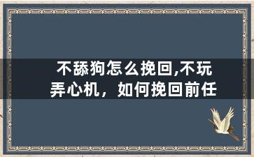 不舔狗怎么挽回,不玩弄心机，如何挽回前任