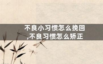 不良小习惯怎么挽回,不良习惯怎么矫正