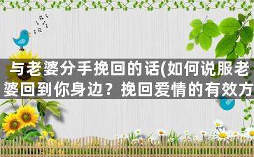 与老婆分手挽回的话(如何说服老婆回到你身边？挽回爱情的有效方法)